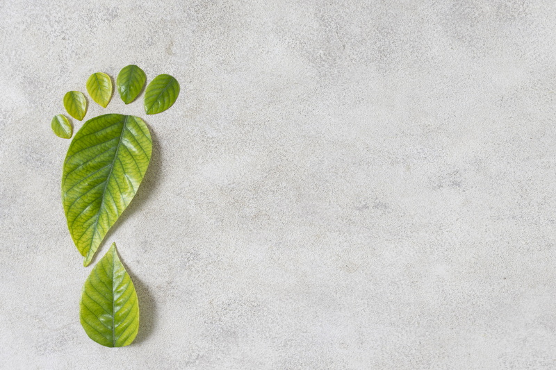 Online Training – Carbon Footprint Management