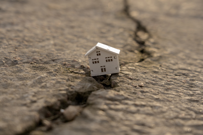 Online Training – Seismologi