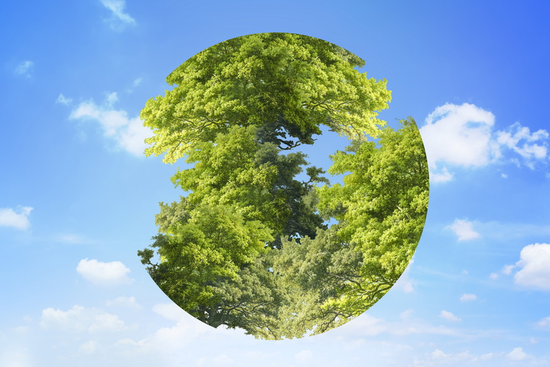 Online Training – Dasar-dasar AMDAL dan ESIA (Environmental and Social Impact Assessment)