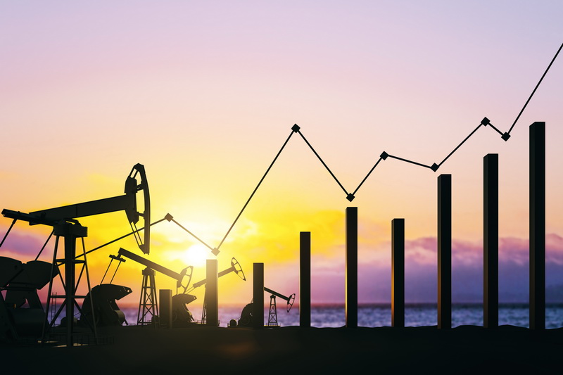 Online Training – Petroleum Financial Report Analysis