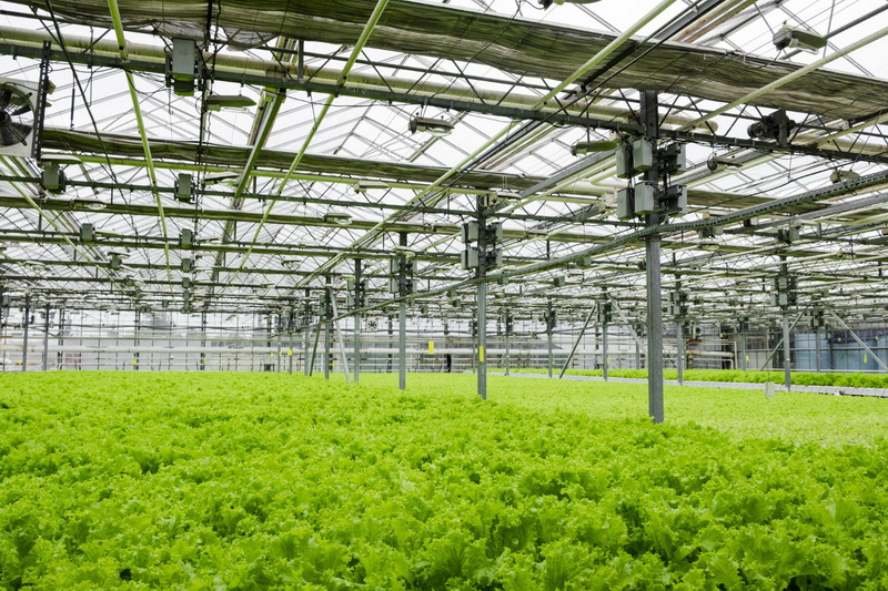 Digital Agriculture & Precision Farming