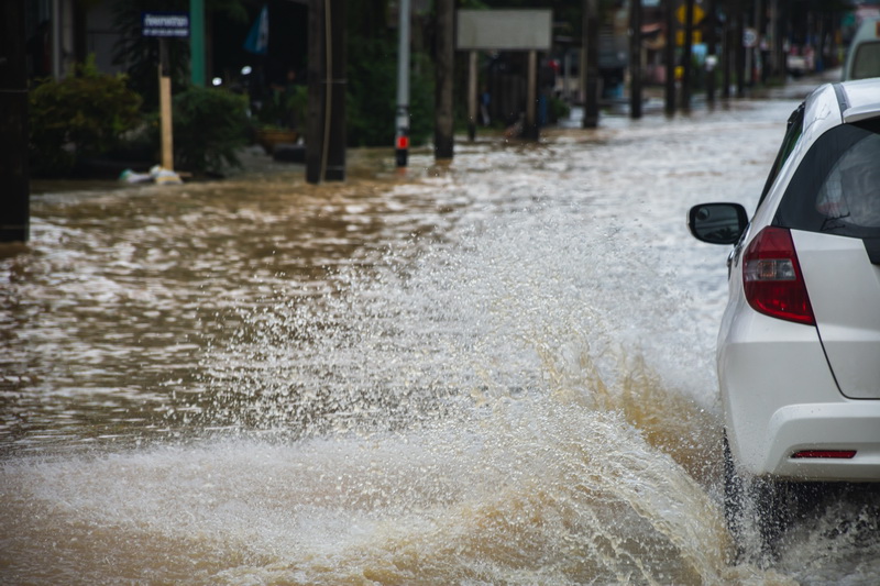 Online Training – Disaster Ready: Emergency Response & Recovery